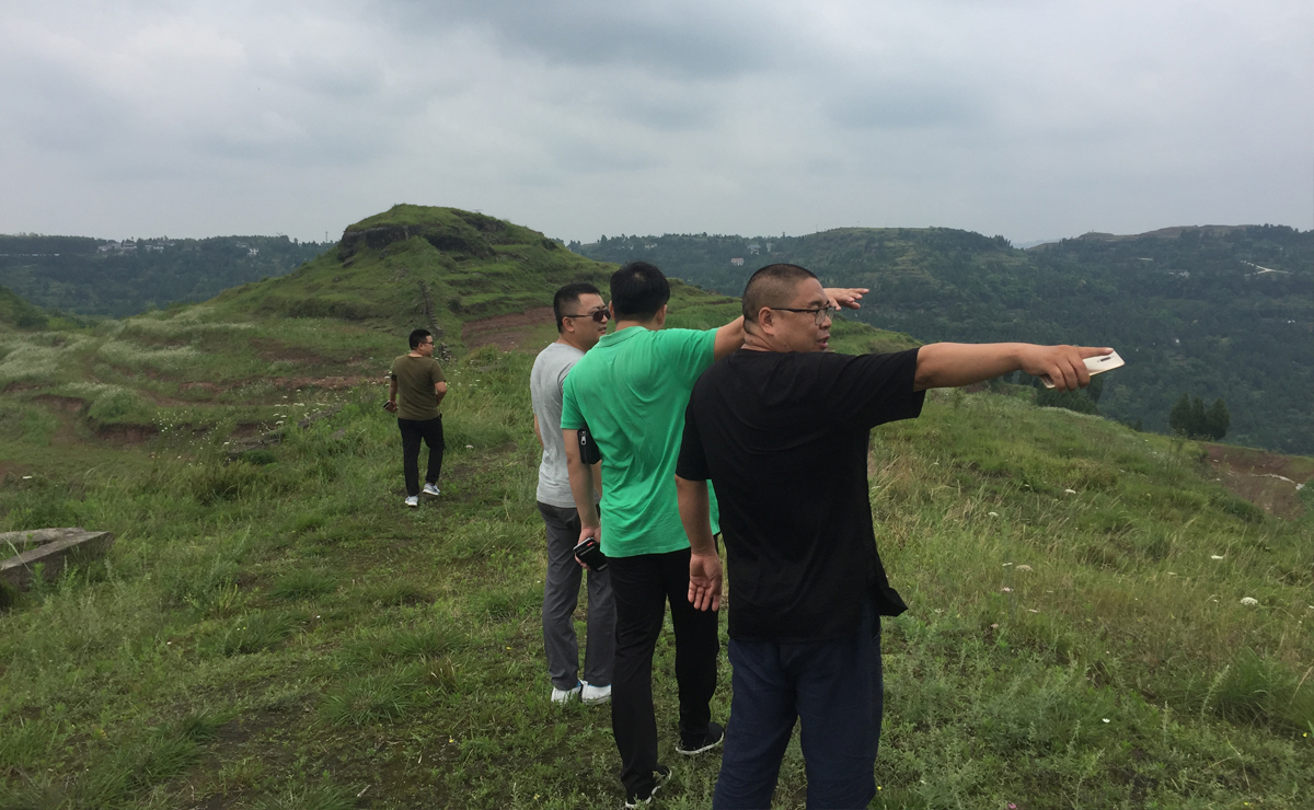 1497855639604596.jpg 内页1.jpg