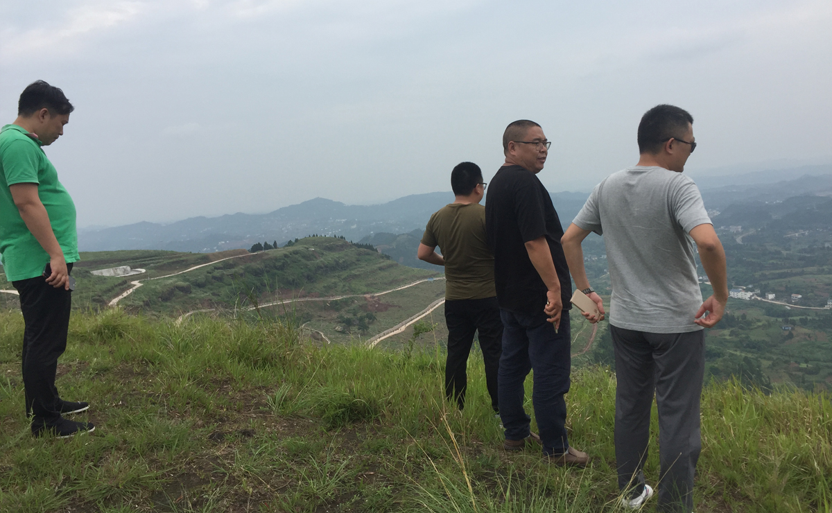 1497855643908185.jpg 内页2.jpg