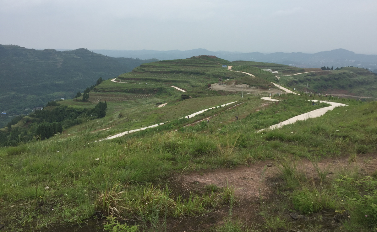 1497855646443958.jpg 内页3.jpg