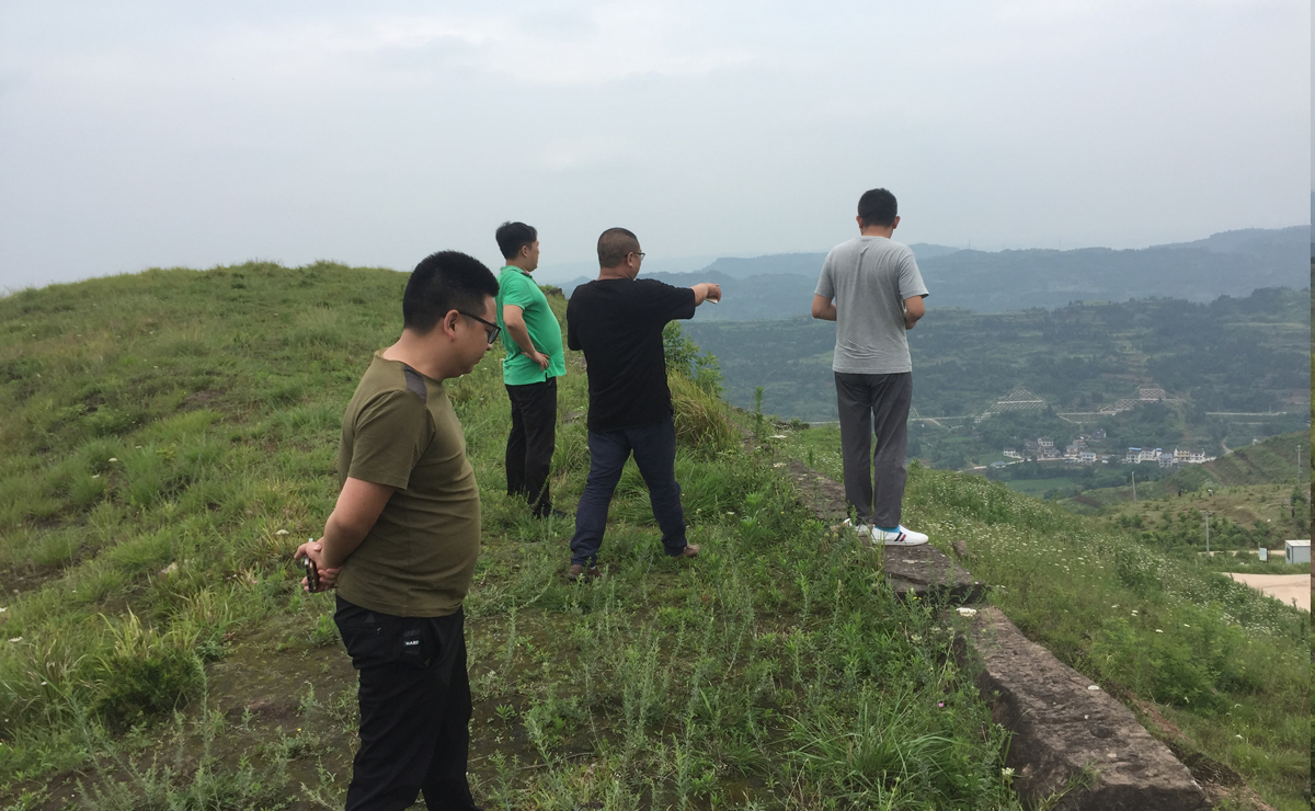 1497855651243043.jpg 内页4.jpg