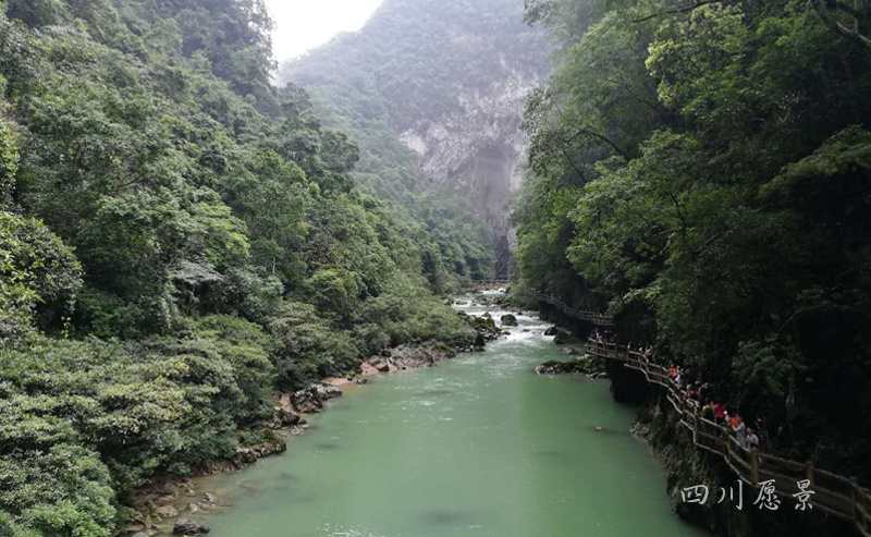 1532310030424336.jpg 2.jpg