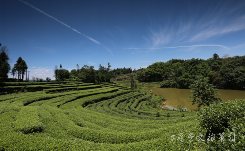 1581510831104618.jpg 蜀山茶海1.jpg