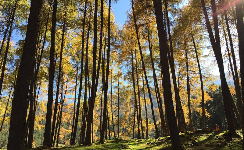 1598848534106473.jpg 神木垒.jpg