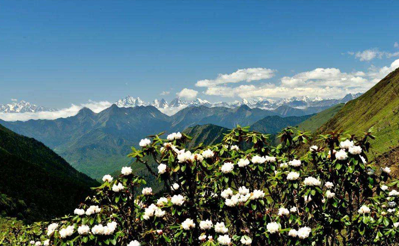 1598850078494693.jpg 空石林.jpg