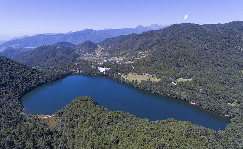 1606389164655675.png 439ff2fe61be4bc493f8fa8d979e34b.png