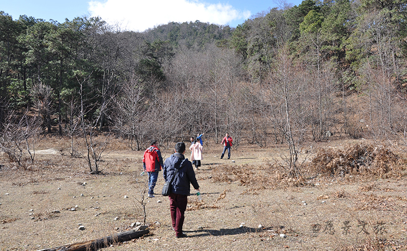 1606389200560747.jpg DSC_1159.JPG