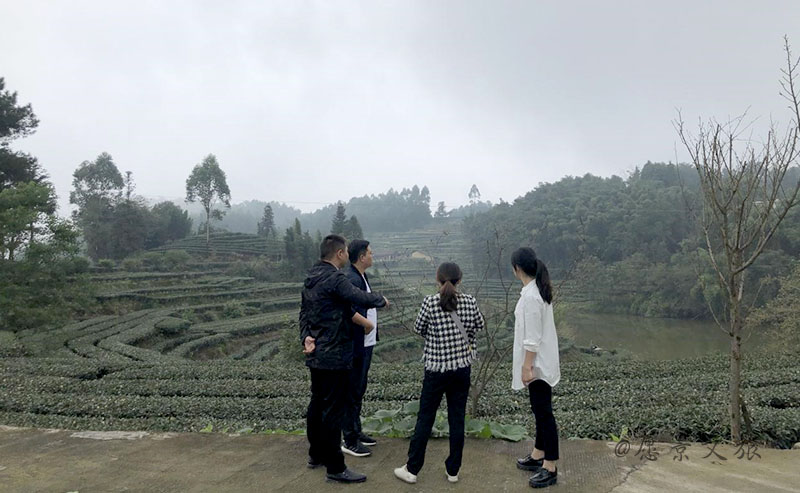 1606805995112295.jpg 5.jpg