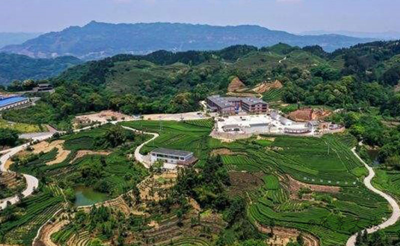 1606806009113156.jpg 7.jpg