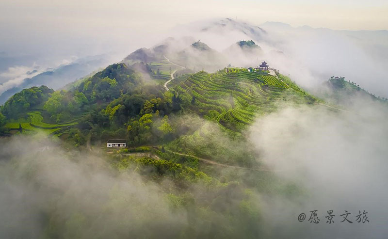 1606806015122588.jpg 8.jpg